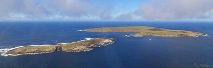 North Neptune Islands - SA (PBH3 00 25757)